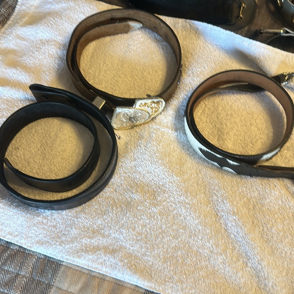 Interchangeable Western Belts with Buckle
